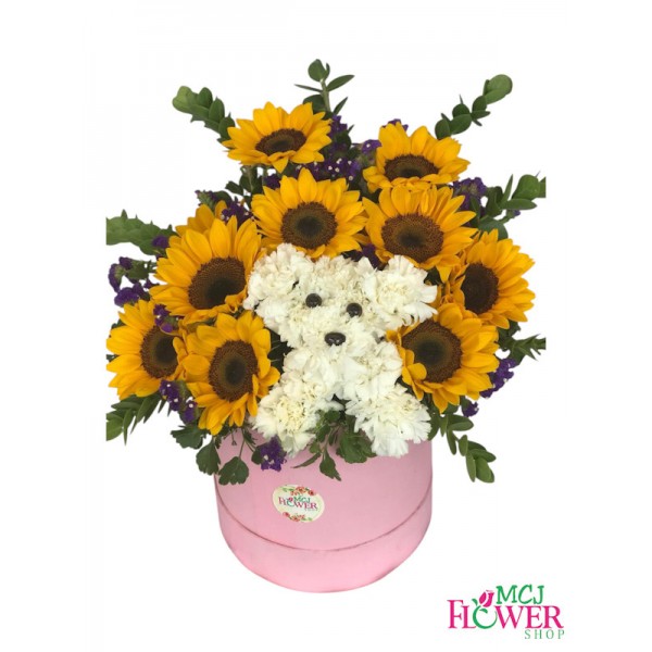 Box of Puppy Sunflower