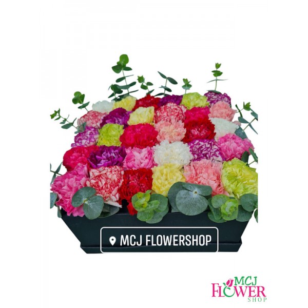 Box of Assorted carnation