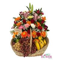 Fruit Basket 04- Rea...
