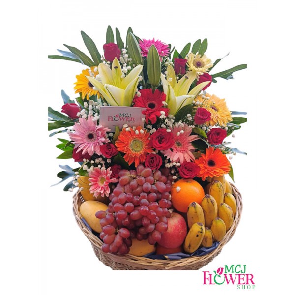 Fruit Basket 06- Elaiza