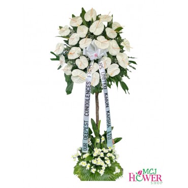 FA# All Anthurium Fl...