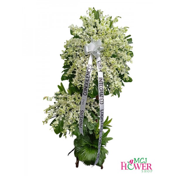 FA# Orchids In Bloom