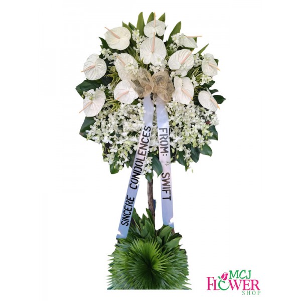 FA# Orchids Sympathy