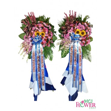 Inaugural 01 (2 Stan...